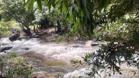 ขายที่ดิน ใน บ้านหลวง, จอมทอง