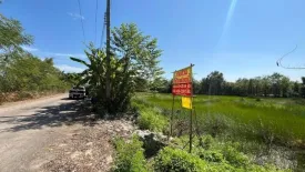 Land for sale in Bueng Ka Sam, Pathum Thani