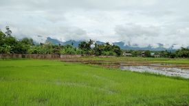 ขายที่ดิน ใน บ้านต๋อม, เมืองพะเยา