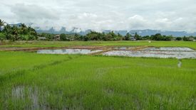 ขายที่ดิน ใน บ้านต๋อม, เมืองพะเยา