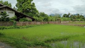 ขายที่ดิน ใน บ้านต๋อม, เมืองพะเยา