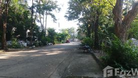 ขายบ้าน บ้านพนารินทร์ 3 ห้องนอน ใน บางรักใหญ่, บางบัวทอง ใกล้ MRT บางรักใหญ่