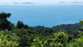 Land for sale in Baclayan, Oriental Mindoro