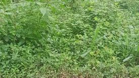 Land for sale in Dalig, Rizal
