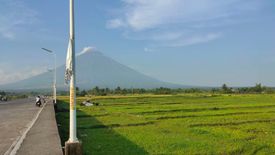 Land for sale in Salugan, Albay