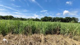 Land for sale in Matab-Ang, Negros Occidental