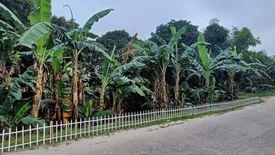 Land for sale in Moriones, Tarlac