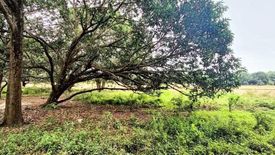 Land for sale in Moriones, Tarlac