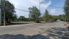 Land for sale in San Isidro, Rizal