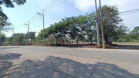 Land for sale in San Isidro, Rizal