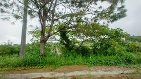 Land for sale in Poblacion, Benguet