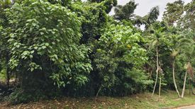 Land for sale in Dolores, Rizal