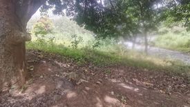 Land for sale in San Isidro, Rizal