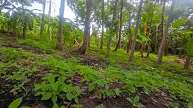 Land for sale in Malagasang II-C, Cavite