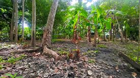 Land for sale in Malagasang II-C, Cavite