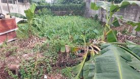 Land for sale in San Isidro, Rizal