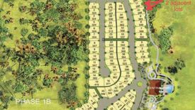 Land for sale in Natipuan, Batangas