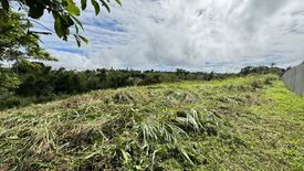 Land for sale in Tolentino West, Cavite