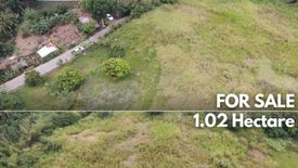 Land for sale in Tolentino West, Cavite