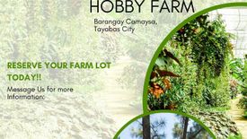 Land for sale in Camaysa, Quezon