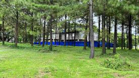 Land for sale in Promenade, Santo Domingo, Laguna