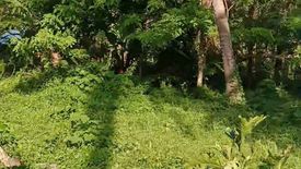 Land for sale in Tandang Kutyo, Rizal
