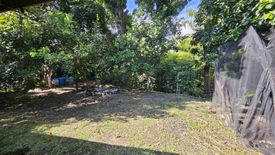 Land for sale in Iba, Batangas