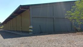 Warehouse / Factory for rent in Carmay East, Pangasinan