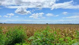 Land for sale in San Jose, Nueva Ecija