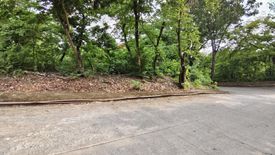 Land for sale in Mambugan, Rizal