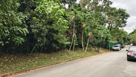 Land for sale in Dela Paz, Rizal