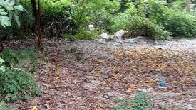 Land for sale in Batingan, Rizal