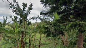 Land for sale in Zambal, Cavite