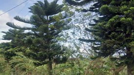 Land for sale in Zambal, Cavite