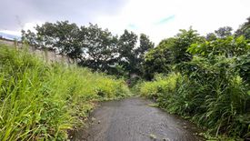 Land for sale in San Roque, Rizal