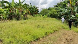 Land for sale in Mandalagan, Negros Occidental