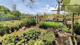 Land for sale in Mandalagan, Negros Occidental