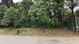 Land for sale in San Roque, Rizal