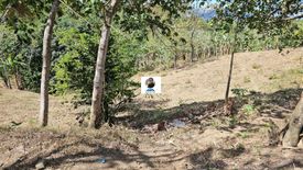 Land for sale in Kaysuyo, Cavite