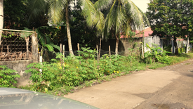 Land for sale in Taculing, Negros Occidental