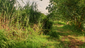 Land for sale in Taculing, Negros Occidental