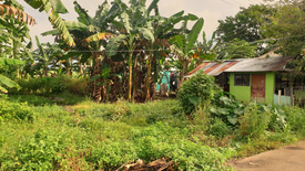 Land for sale in Taculing, Negros Occidental