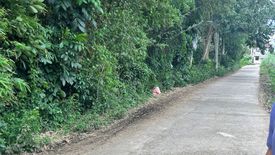 Land for sale in Pangao, Batangas