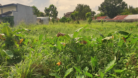 Land for sale in Taculing, Negros Occidental