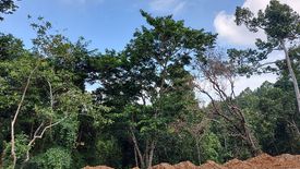 Land for sale in Cuyambay, Rizal