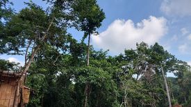 Land for sale in Cuyambay, Rizal