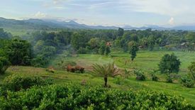 Land for sale in Inagawan Sub-Colony, Palawan