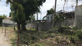 Land for sale in Dao, Bohol