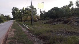 Land for rent in Dao, Bohol