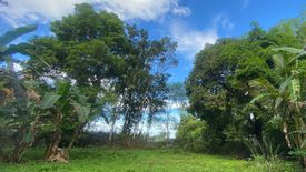 Land for sale in Tabat, Iloilo